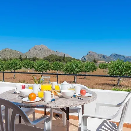 Villa Palmera