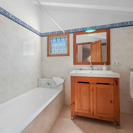 Palmera Villa Pollenca